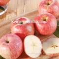 Chinese Hot Sale Sweety Delicious Red Apple
